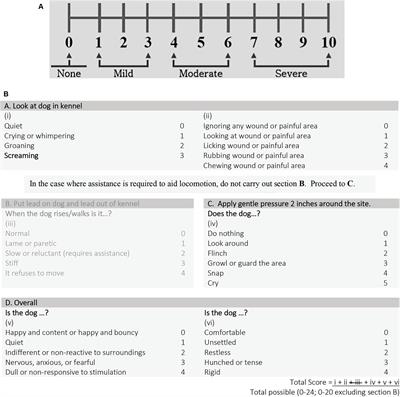 The use of a minimally invasive integrated endoscopic system to perform hemilaminectomies in chondrodystrophic dogs with thoracolumbar intervertebral disc extrusions